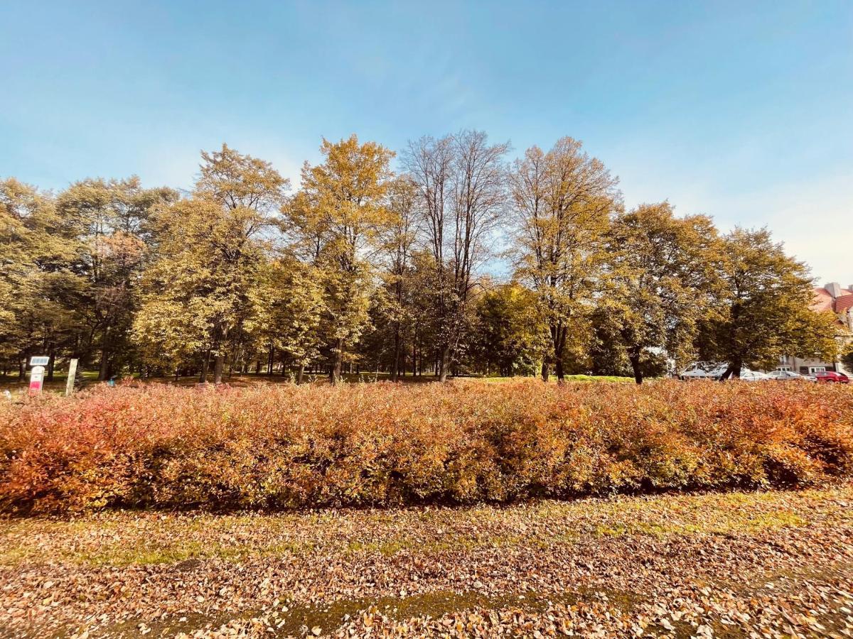 Ktw Park Slaski